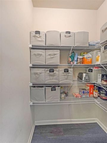 7281 Silk Tree Pointe, Braselton, GA 30517