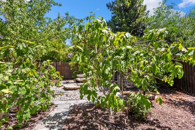 11 Loganberry Ct, Sacramento, CA 95835