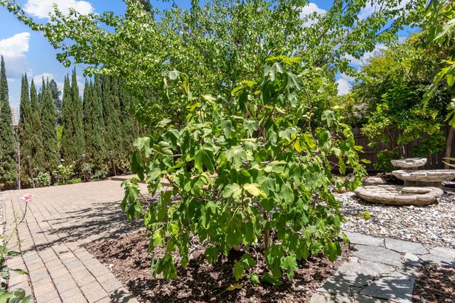 11 Loganberry Ct, Sacramento, CA 95835