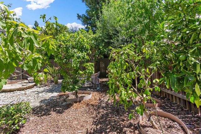 11 Loganberry Ct, Sacramento, CA 95835