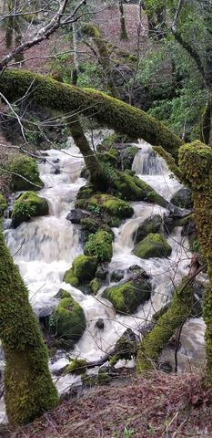 5510-5500 Parducci Rd, Ukiah, CA 95482