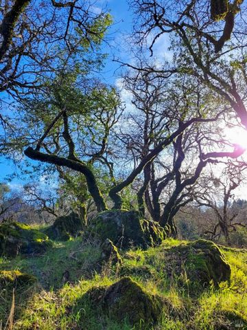 5510-5500 Parducci Rd, Ukiah, CA 95482