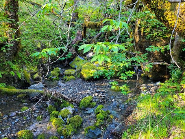 5510-5500 Parducci Rd, Ukiah, CA 95482