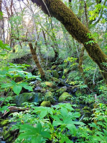 5510-5500 Parducci Rd, Ukiah, CA 95482