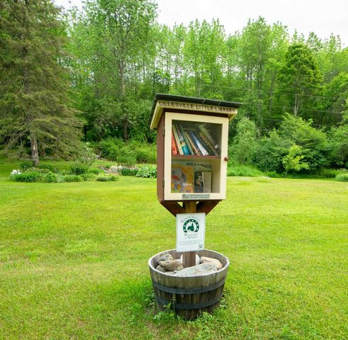 1099 Lilliesvillle Brook Road, Bethel, VT 05032