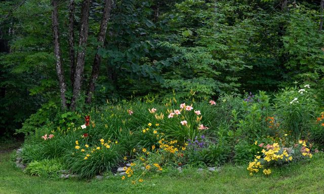 1099 Lilliesvillle Brook Road, Bethel, VT 05032