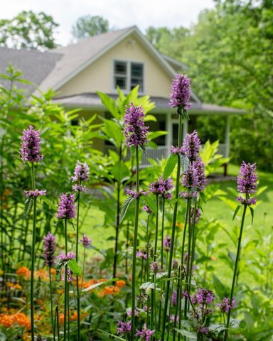 1099 Lilliesvillle Brook Road, Bethel, VT 05032