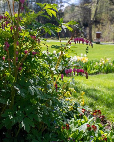 1099 Lilliesvillle Brook Road, Bethel, VT 05032