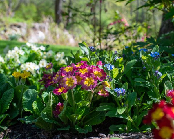 1099 Lilliesvillle Brook Road, Bethel, VT 05032