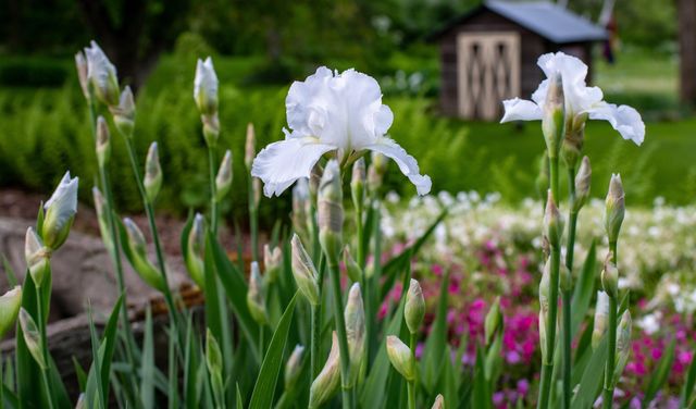 1099 Lilliesvillle Brook Road, Bethel, VT 05032