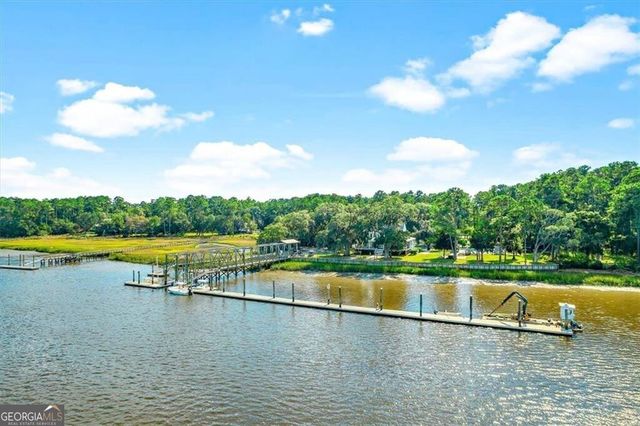 1121 Fair Hope Drive NE, Townsend, GA 31331