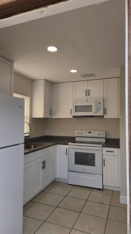 10406 N MITCHELL AVENUE A, Tampa, FL 33612