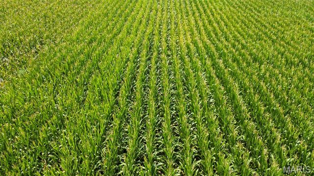 000 State Highway K, Bloomfield, MO 63825