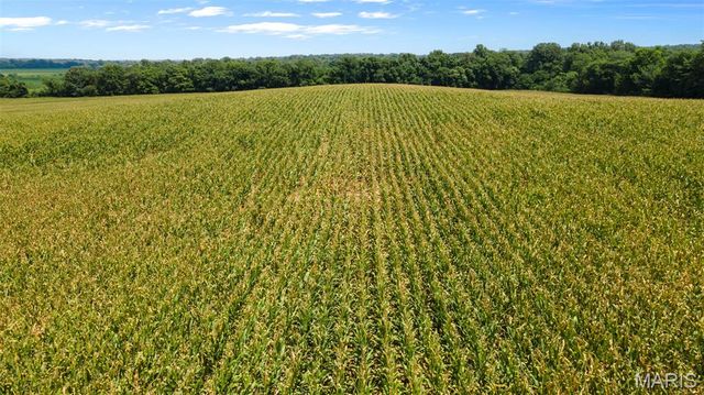 000 State Highway K, Bloomfield, MO 63825