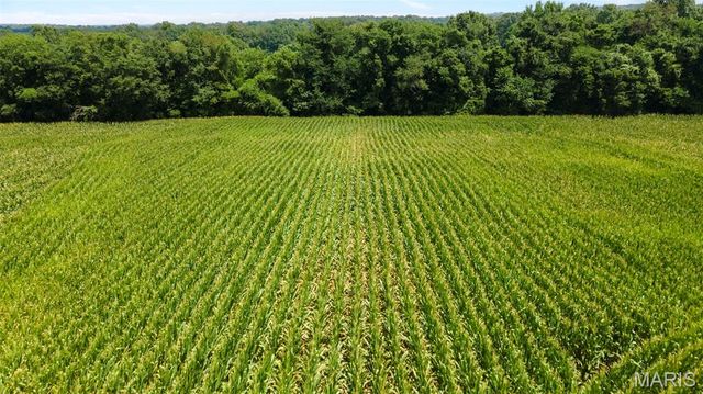 000 State Highway K, Bloomfield, MO 63825