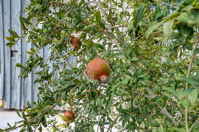 1405 East Bridger Avenue B, Las Vegas, NV 89101