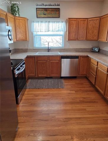 1442 Lookout Springs Drive, Colorado Springs, CO 80921