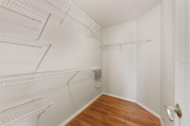 8506 TIARA PARK WAY, Tampa, FL 33635