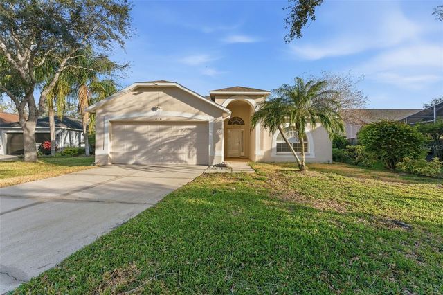 8506 TIARA PARK WAY, Tampa, FL 33635