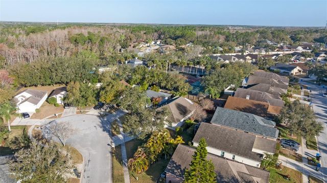 8506 TIARA PARK WAY, Tampa, FL 33635