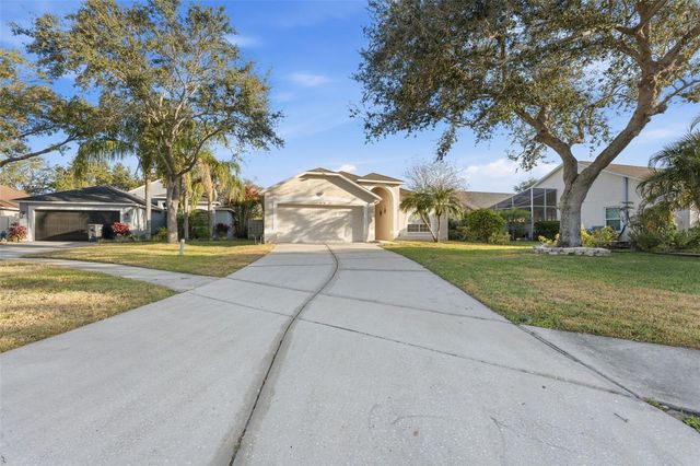 8506 TIARA PARK WAY, Tampa, FL 33635