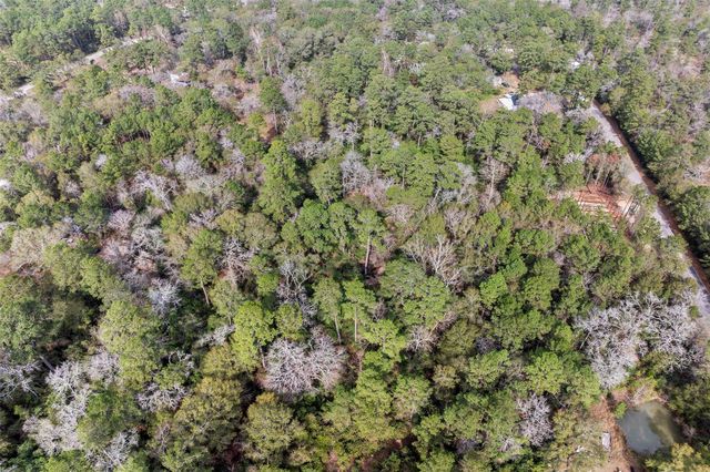 24799 Little John Circle, Hockley, TX 77447