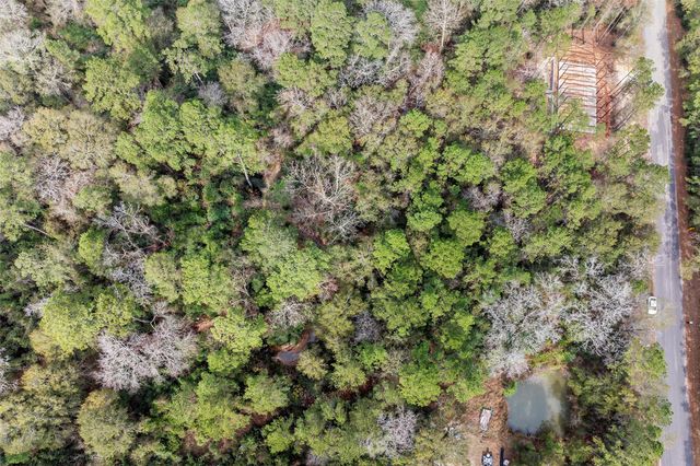 24799 Little John Circle, Hockley, TX 77447