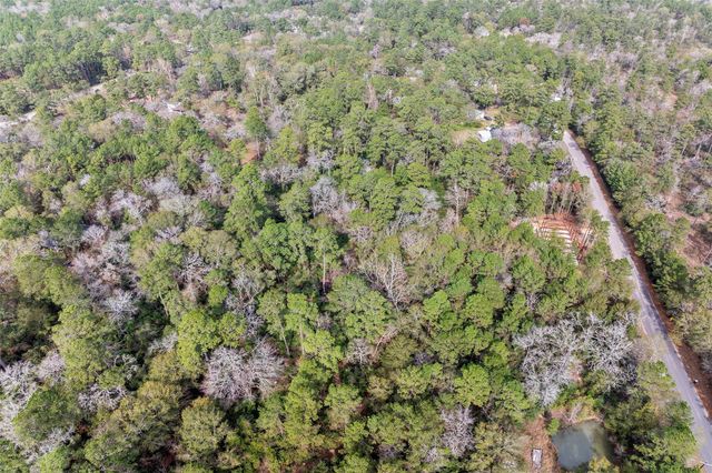 24799 Little John Circle, Hockley, TX 77447