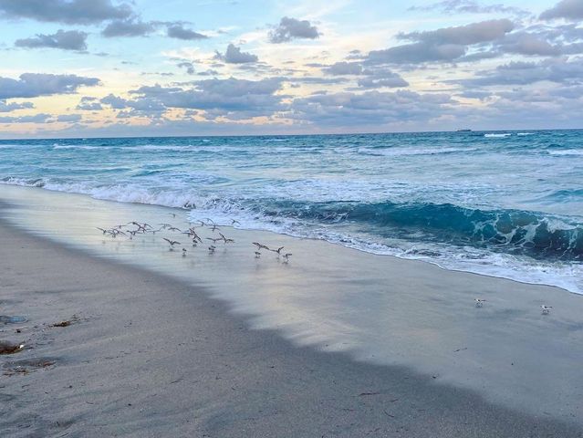 832 SW 10th Avenue, Boca Raton, FL 33486
