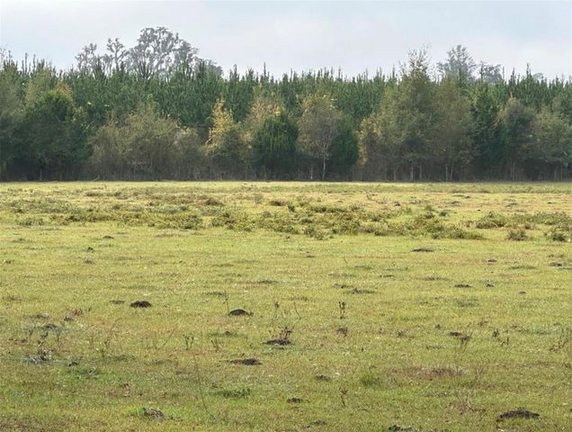 NW 160TH STREET, Reddick, FL 32686