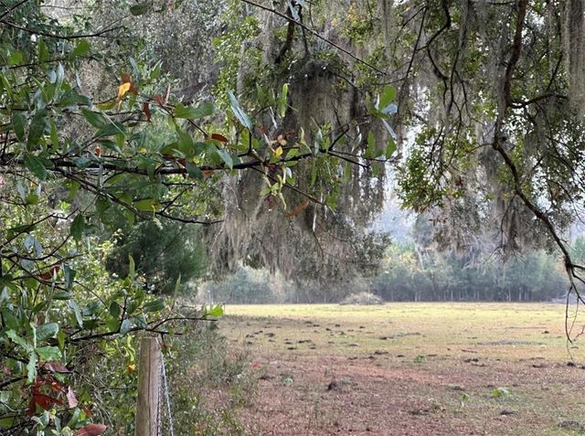 NW 160TH STREET, Reddick, FL 32686