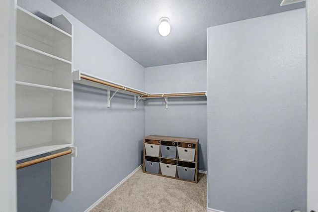 17804 Linkhill DR, Dripping Springs, TX 78620