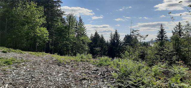 200 NE WJ Way, Belfair, WA 98528