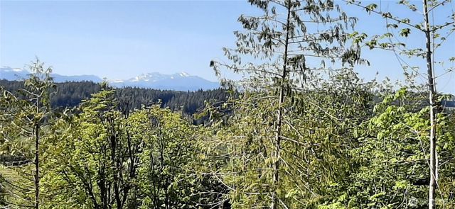 200 NE WJ Way, Belfair, WA 98528