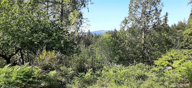 200 NE WJ Way, Belfair, WA 98528