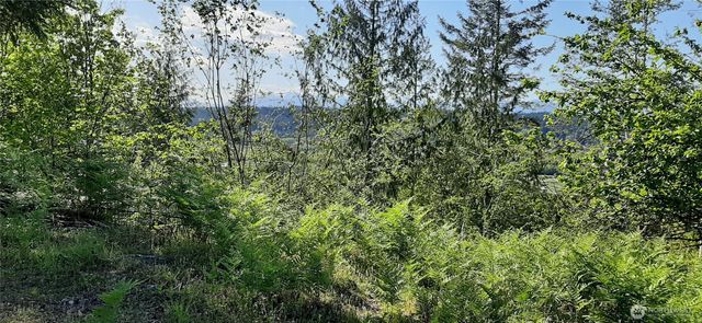 200 NE WJ Way, Belfair, WA 98528