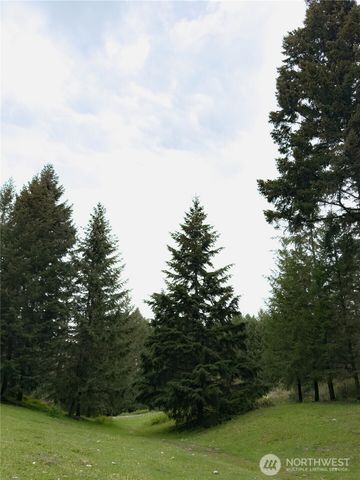 5010 Offut Lake Road SE, Tenino, WA 98589