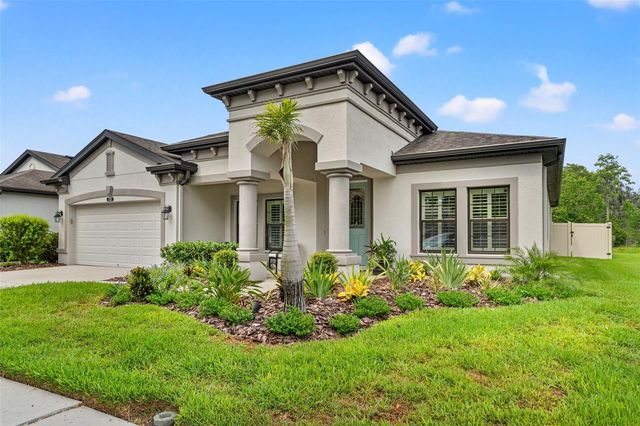 8320 BLUEVINE SKY DRIVE, Land O Lakes, FL 34637