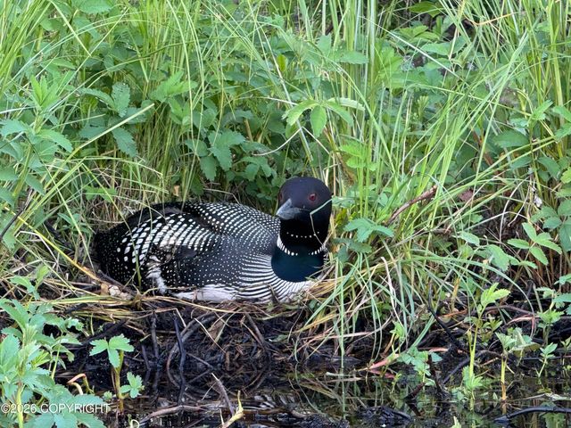 L4 Lambeau Court, Sterling, AK 99672