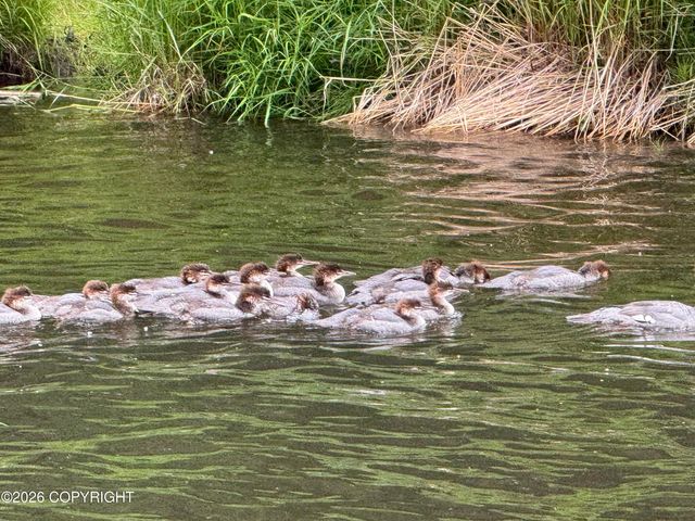 L4 Lambeau Court, Sterling, AK 99672