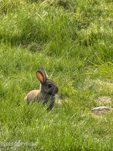 L4 Lambeau Court, Sterling, AK 99672