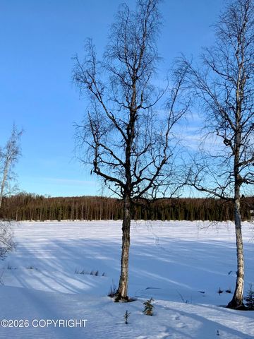 L4 Lambeau Court, Sterling, AK 99672