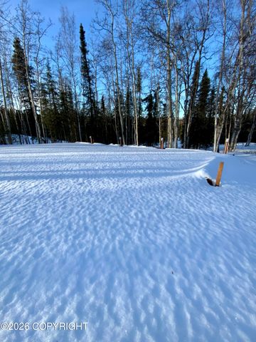 L4 Lambeau Court, Sterling, AK 99672