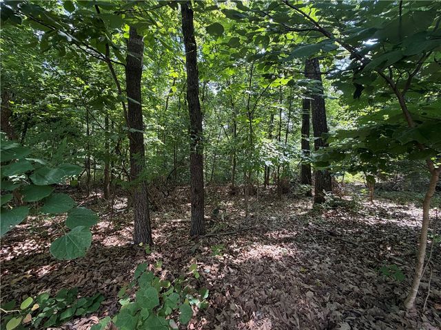 Ventnor Drive, Bella Vista, AR 72715