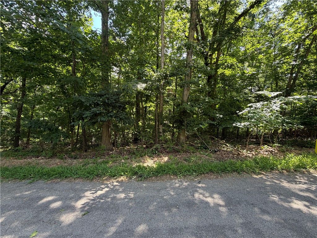 Ventnor Drive, Bella Vista, AR 72715