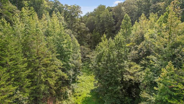 6180 Slygo Road, Wildwood, GA 30757