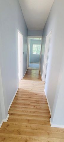 162 E 3rd Street, Depue, IL 61322