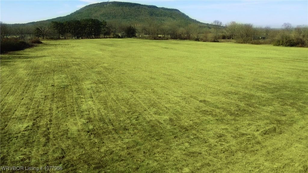 1105 N Hickory Street, Paris, AR 72855