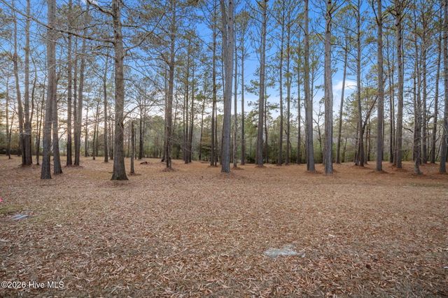 850 Southern Plantation Drive N, Oriental, NC 28571