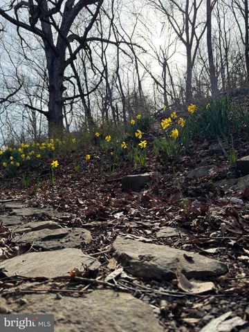 78 VALLEY VIEW RD, Lost City, WV 26810